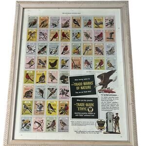 Vintage 1950? Saturday Evening Post Ethyl Gasoline Bird Stamp Advertisement